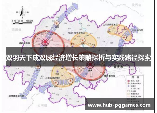 双羽天下成双城经济增长策略探析与实践路径探索
