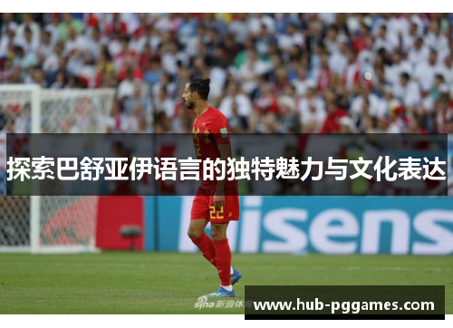 探索巴舒亚伊语言的独特魅力与文化表达